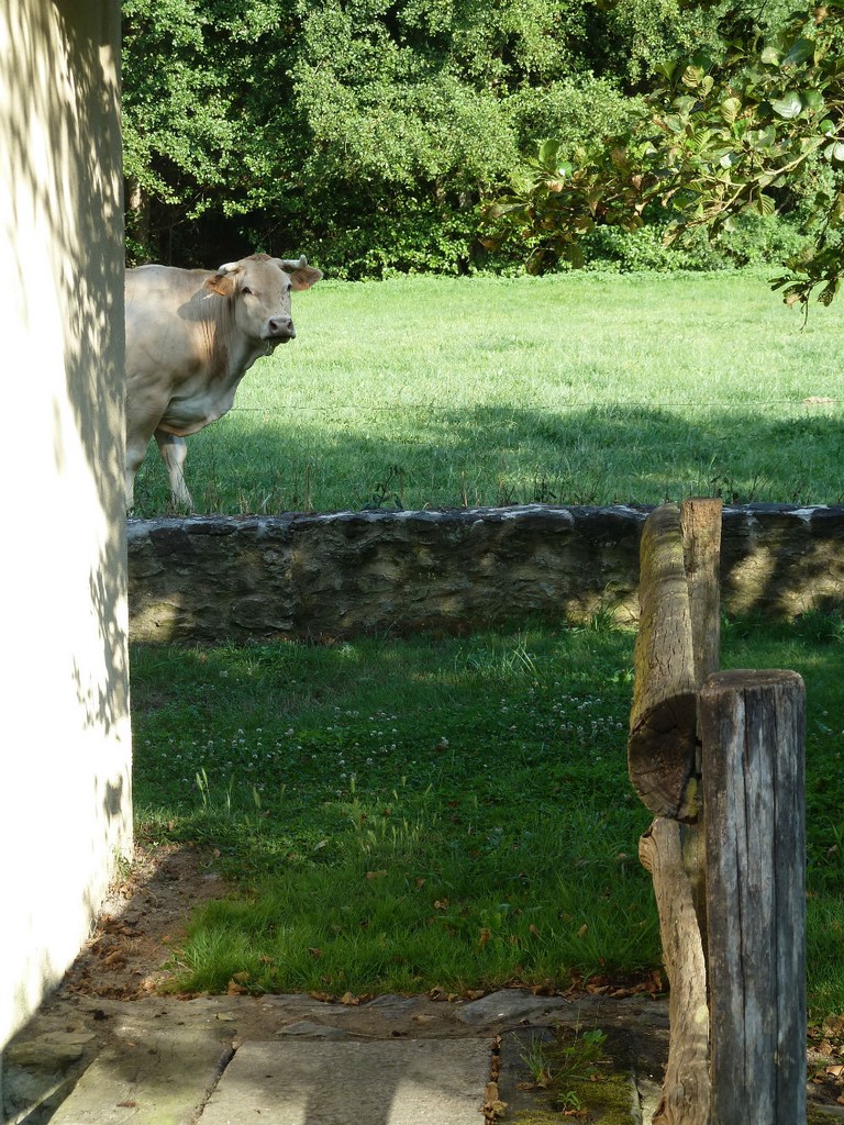 JARDIN MOULIN