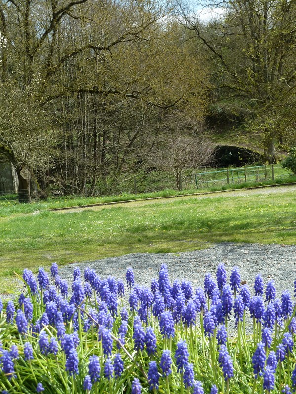 JARDIN MOULIN
